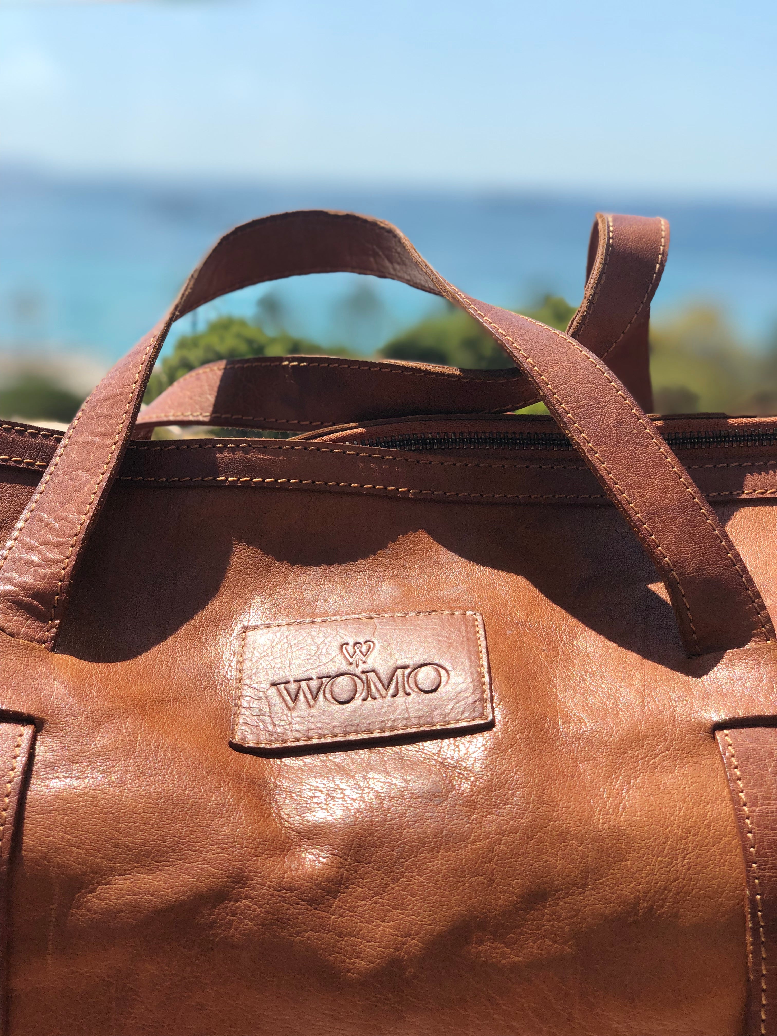 AMADEO Briefcase